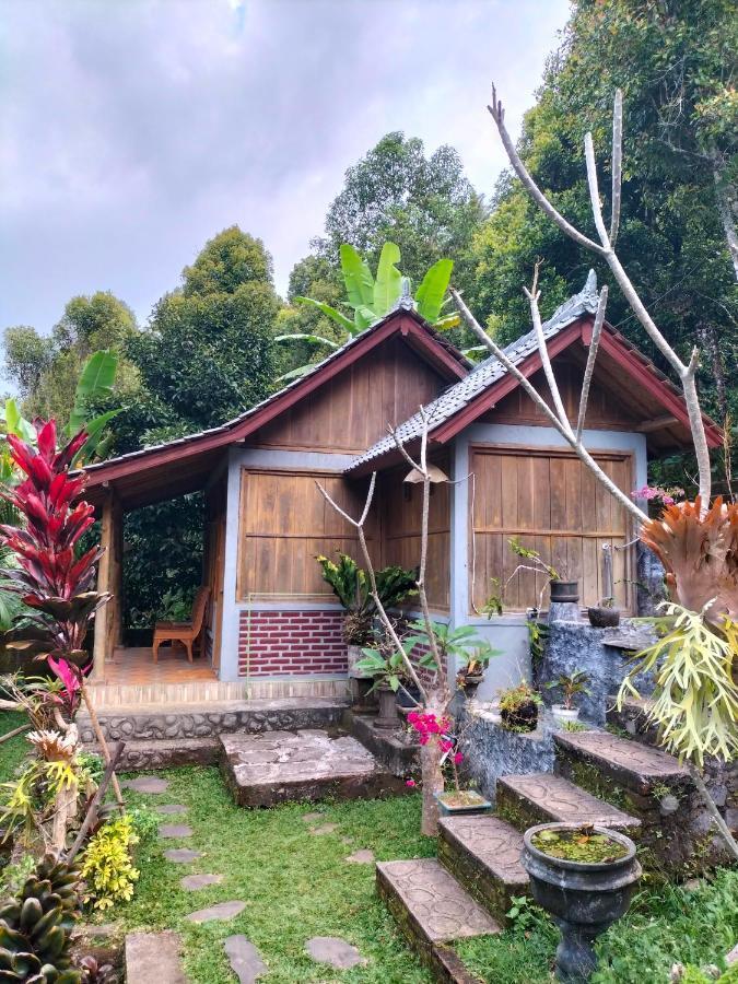 Friendly Homestay Lemukih Singaraja Exterior foto