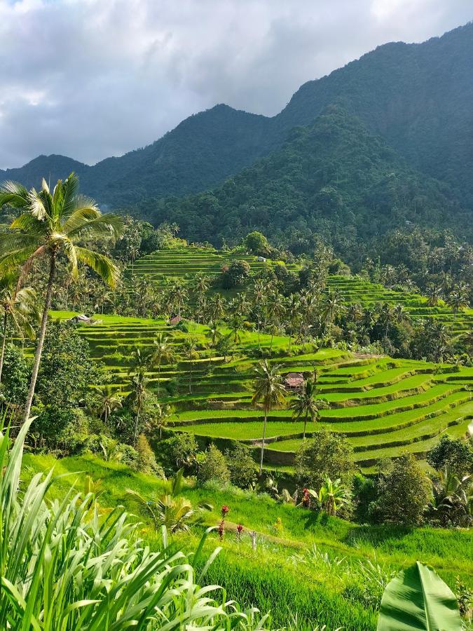Friendly Homestay Lemukih Singaraja Exterior foto