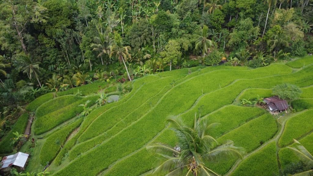 Friendly Homestay Lemukih Singaraja Exterior foto