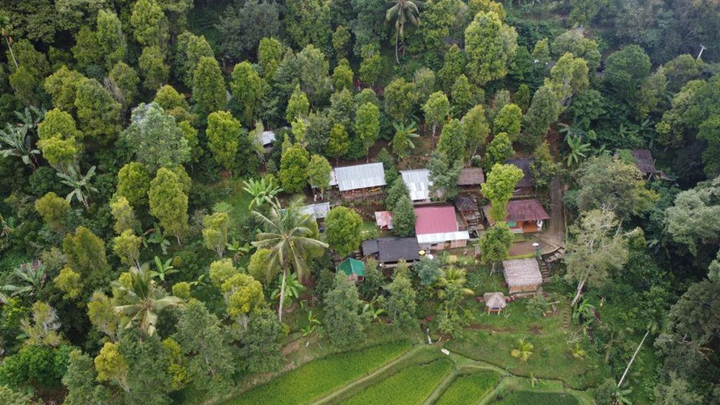 Friendly Homestay Lemukih Singaraja Exterior foto