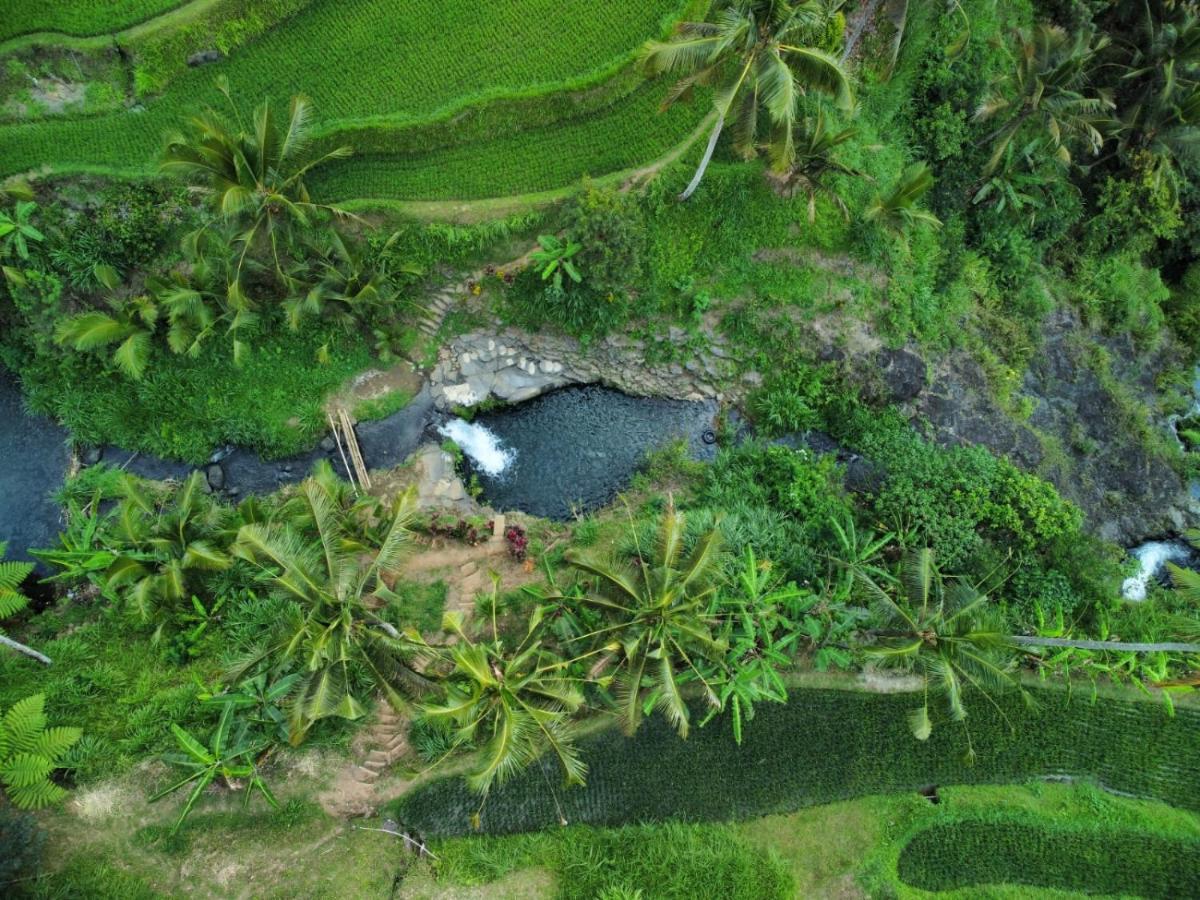 Friendly Homestay Lemukih Singaraja Exterior foto