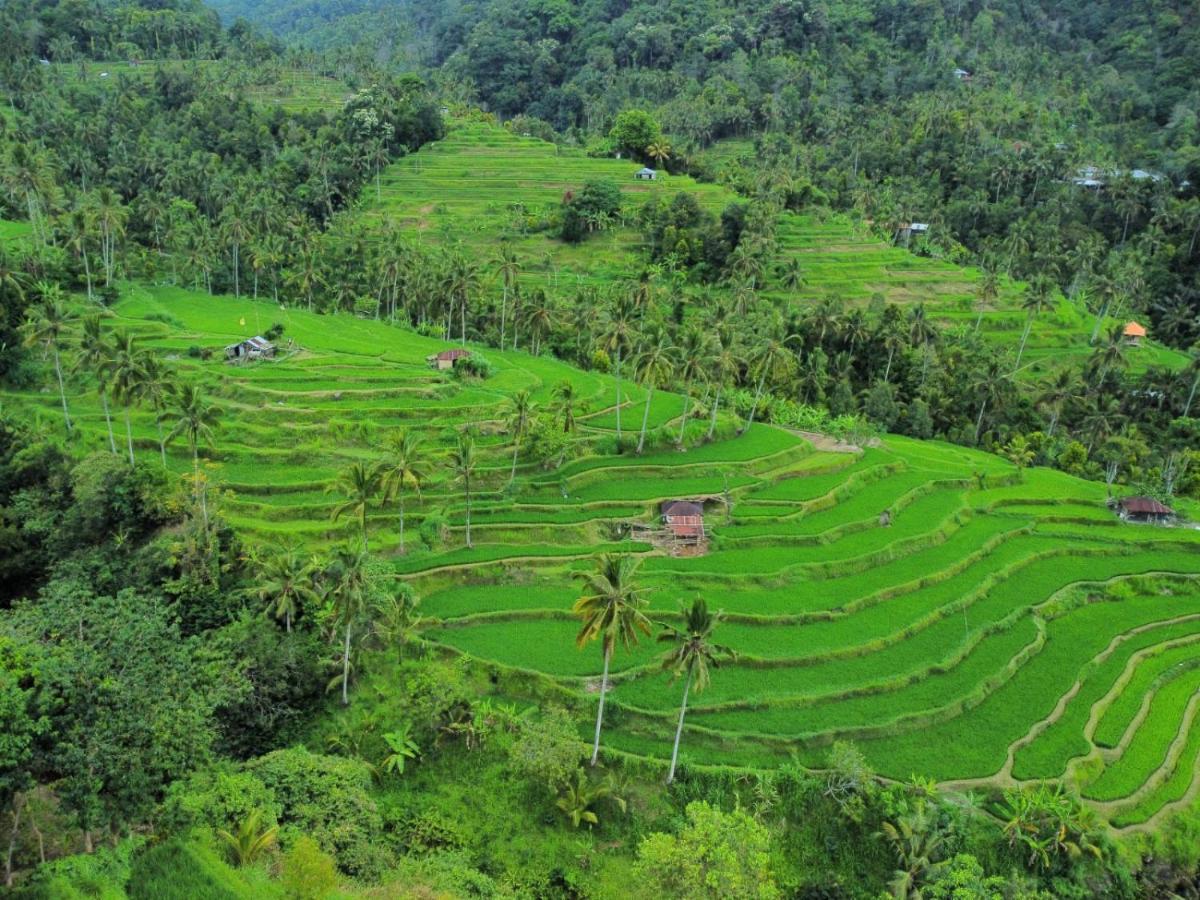 Friendly Homestay Lemukih Singaraja Exterior foto