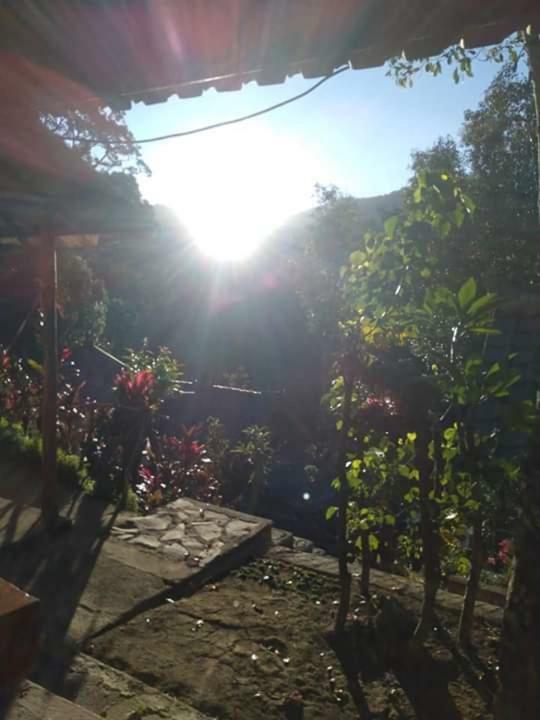 Friendly Homestay Lemukih Singaraja Exterior foto